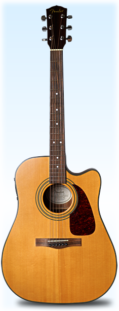 Fender DG-14SCE
Click to enlarge ...