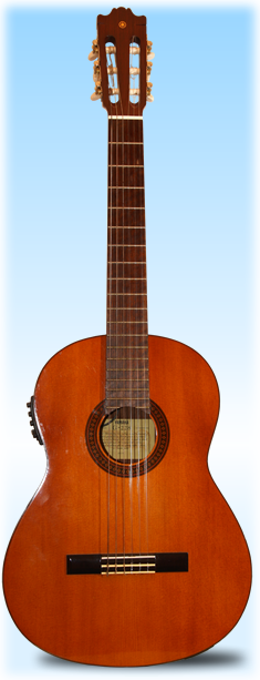 Yamaha G-228 Classical Guitar
The Pre-amp is an aftermarket mod
Yamaha G-228 Classical Guitar